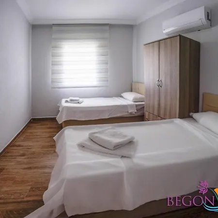 Gcek Begonvilla