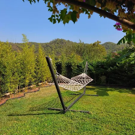 Gcek Begonvilla Fethiye
