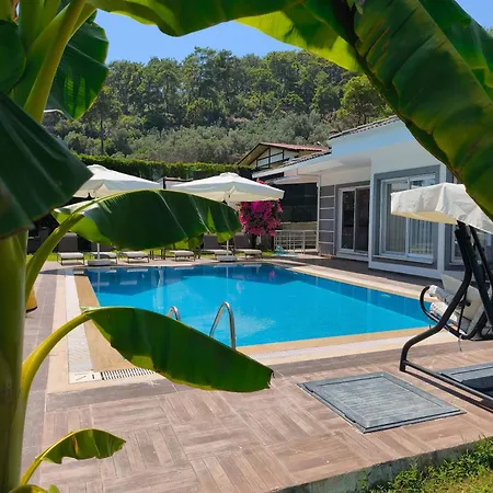 Gcek Begonvilla * Fethiye