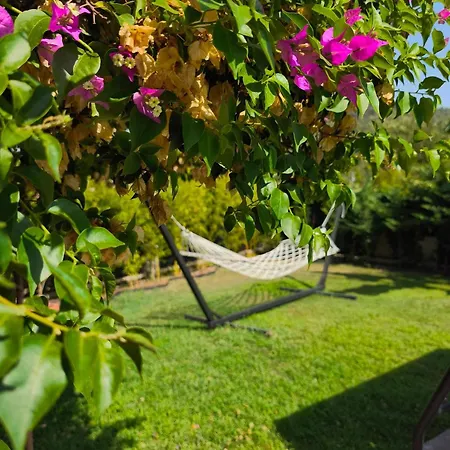 Villa Gcek Begonvilla Fethiye